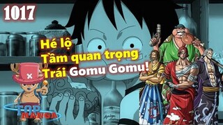 [One Piece 1017]. Shanks cướp trái Gomu Gomu! Chopper chịu tác dụng phụ của Monster Point!