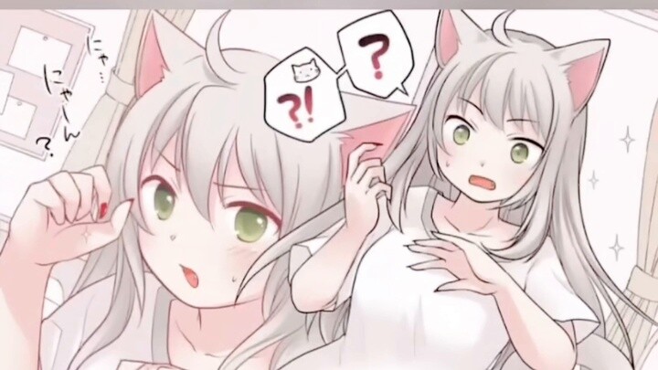 After absorbing the cat's soul, the boy turned into a cute cat girl!