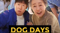 D0GDAYS 2024 KMOVIE