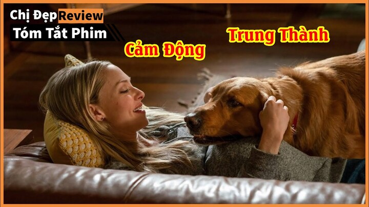 Sự trung thành của loài chó sẽ khiến bạn cảm động|  Cuộc đời phi thường của chú chó Enzo