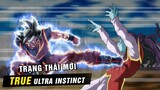 True Ultra Instinct  Trạng thái mới của Goku  Bản năng vô cực người Saiyan  #My idol