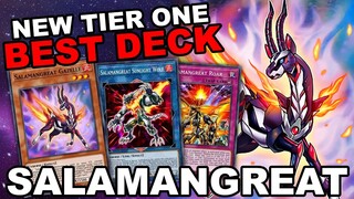 SALAMANGREAT, THE NEW BEST DECK IN DUEL LINKS! NEW VRAINS WORLD SALAD COMBOS! (Yu-Gi-Oh! Duel Links)