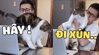 Rảnh quá ở nhà thích TRÊU SEN vậy đó!!  | Pets TV