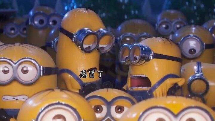 Ada sejenis cinta bernama Gru yang menyukai minion. Hanya Gru yang mengingat nama semua minion dan c