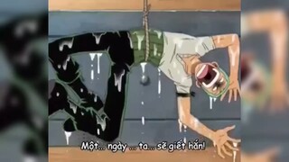 A! Xin lỗi Zoro #animehaynhat