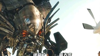 变形金刚中天火属于什么等级
