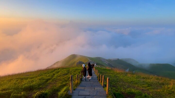 "Cuộc đời tôi đáng lẽ phải bị lãng phí ở một nơi như thế này!"