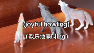 Awooo awooo awooo~
