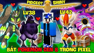 MINECRAFT PIXELMON YTB #3 | BẮT POKEMON THẾ HỆ THỨ 8 VÀ PIDGEOT SHINY, QUẠ ĐEN SIÊU MẠNH