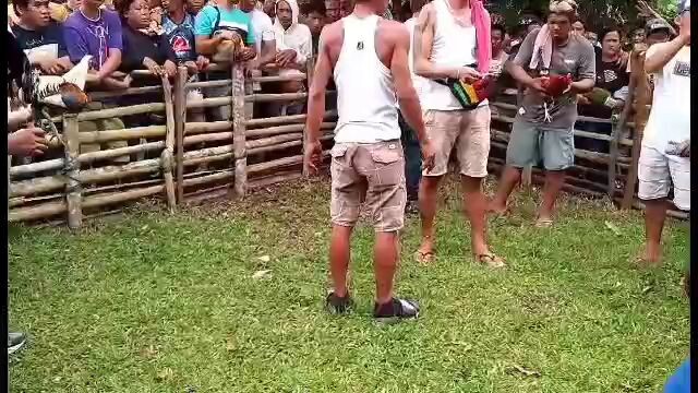 talo na nanalo pa