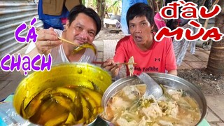 Bữa cơm với cá Chạch kho nghệ đầu mùa quá ngon lTâm Chè Vĩnh Long