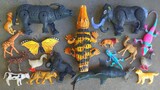 Find Animal Toys ‼️ Crocodile, Kingkong, Elephant, Duck, Shark