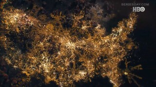 The Last of Us season 1 EP 7 พากย์ไทย