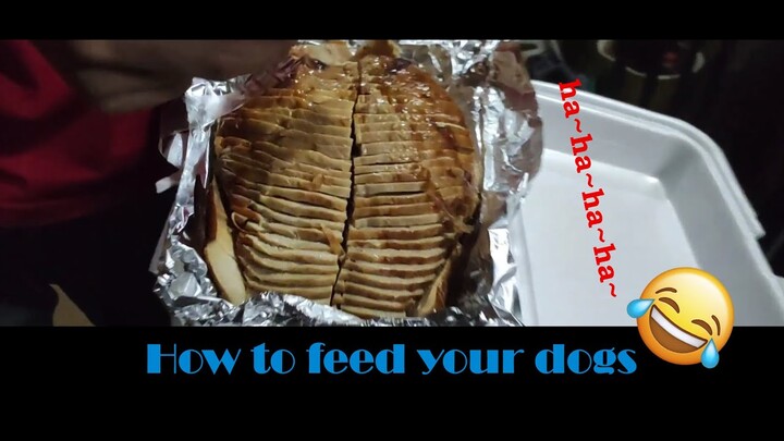 How to feed your dogs (Bisayan Style) [Kataw-anan 004]