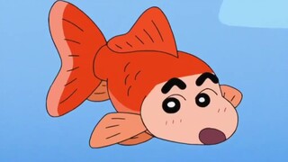 Crayon Shin-chan We are Goldfish 4