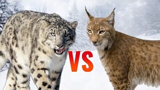 Snow Leopard vs Lynx | SPORE