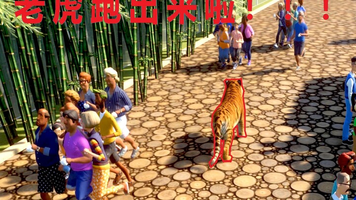 【超果果】动物园老虎跑出来了!