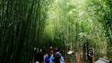 Ang gnda dito Nuture trip kung mahilig ka sa mga Bamboo