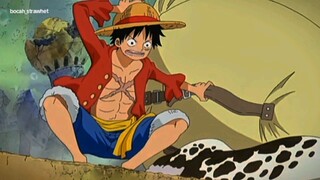 Kemunculan luffy saat time skip🤔, kuat banget gilak💪😎🤙