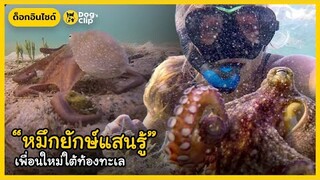 “หมึกยักษ์แสนรู้” เพื่อนใหม่ใต้ท้องทะเล | Dog's Clip