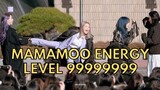 Mamamoo Energy Level 99999