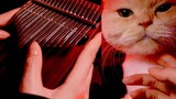 [Kalimba] บรรเลงดาบพิฆาตอสูร OP "The Song of Zaomen Tanjiro" พร้อมการแสดงพิเศษโดยแมว