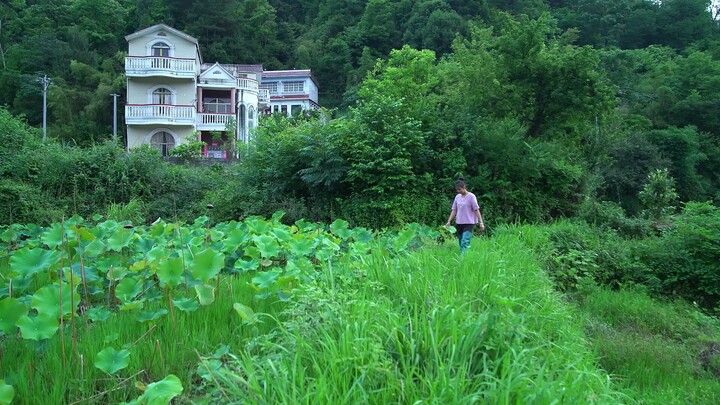 food and Nature