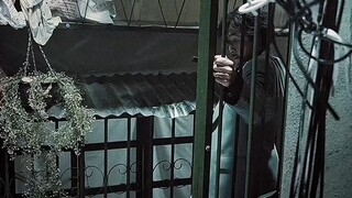 追龙 生死有命 富贵在天