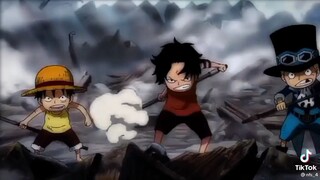 hide Luffy!!