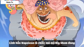 Top 6 _Quái Vật 3 Đầu_ Trong One Piece #6- 6