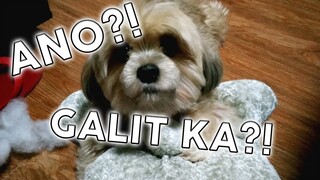 IKAW NA NAKASIRA, IKAW PA GALIT?! [Random Video 2]