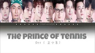 [PINYIN+MANDARIN] The Prince of Tennis《正少年》- 奋斗吧，少年 (Color Coded Lyrics)