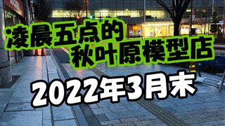 【老王制造】去秋叶原看看日本胶圈目前什么情况