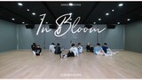 Zerobaseone "In Bloom" Dance Practice