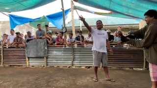 Bakbakan sa san pascual pt2
