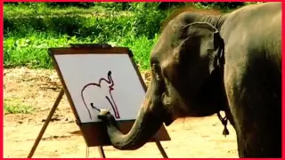 The Painting Elephant.