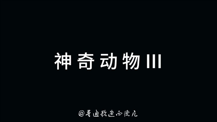 电影《神奇动物3》独家新预告