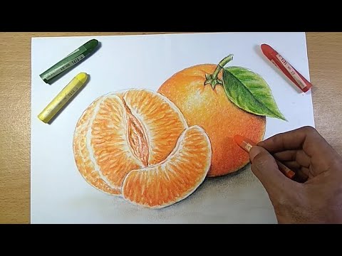 sketsa buah jeruk
