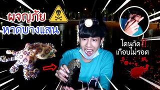 ผจญภัย “หาดบางแสนตอนกลางคืน” จะเจออะไรบ้าง ? (ไม่คิดว่าจะ….ขนาดนี้ ) | Fararim Story