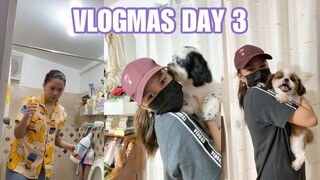 Pet Grooming Day! *tinahulan si Daniel Padilla!* + Linis Tayo Ng CR! | Vlogmas 2021