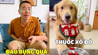 Tứ Mao | Tứ Mao Troll Bố Uống Thuốc Xổ Và Cái Kết 🤣 Gâu Đần Official