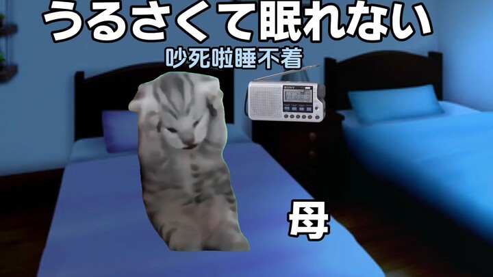 【熟/猫meme】失眠的猫家族