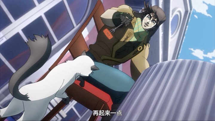 666乔瑟夫也爱猫