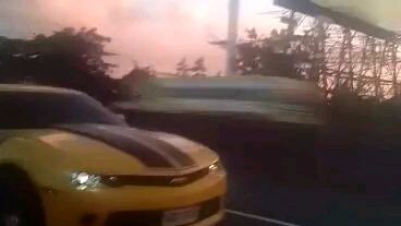 Bumblebee in NLEx