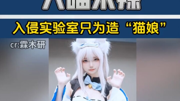 这是想靠变异造出猫娘吗，为啥不黑生物研究室#黑客#二次元#离谱#抽象#网络安全