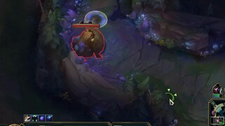 Garen ได้รับมีด 300 เล่มใน 20 นาที และหัวสุนัข 800 เลเวลใน 20 นาที คนอื่นๆ : มันยุ่งวุ่นวาย.