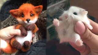 Cutest baby animals Videos Compilation Cute moment of the Animals - Cutest Animals #13