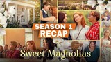Sweet Magnolias Season 1 Recap