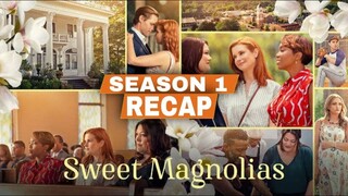 Sweet Magnolias Season 1 Recap