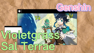 Violetgrass Sal Terrae